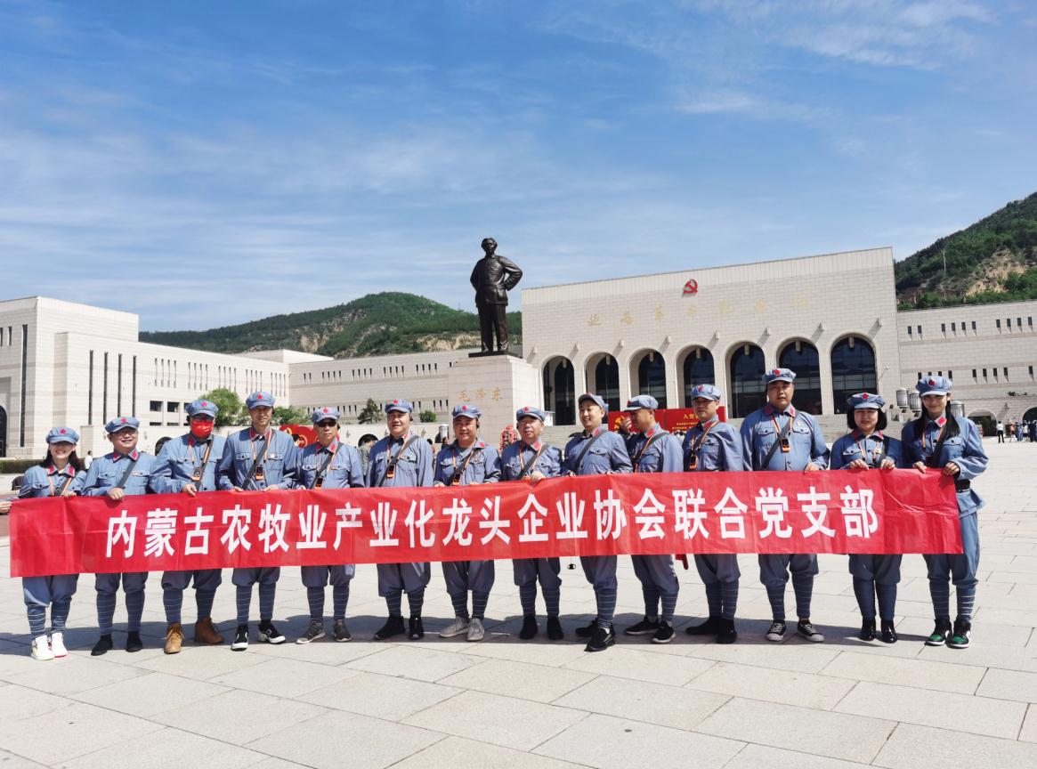 內(nèi)蒙古農(nóng)牧業(yè)產(chǎn)業(yè)化龍頭企業(yè)協(xié)會(huì)聯(lián)合黨支部赴延安革命圣地開(kāi)展“學(xué)黨史、感黨恩、跟黨走”主題黨日活動(dòng)