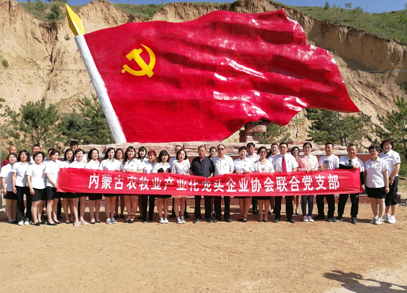 內(nèi)蒙古農(nóng)牧業(yè)產(chǎn)業(yè)化龍頭企業(yè)協(xié)會(huì)走進(jìn)石人灣村開(kāi)展“辦實(shí)事、解難題，送溫暖，傳黨恩”公益活動(dòng)